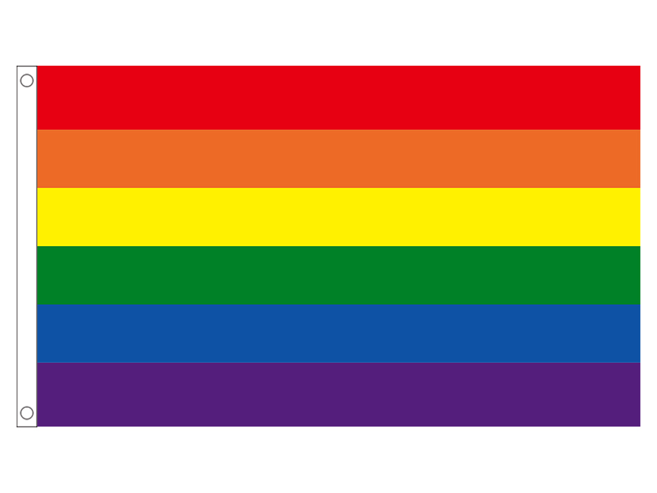 Pride flagg 90*150 cm