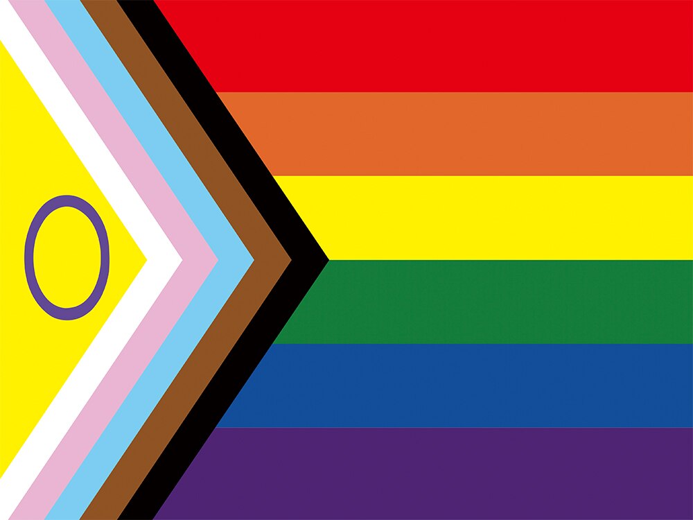 Pride flagg 90*150 cm