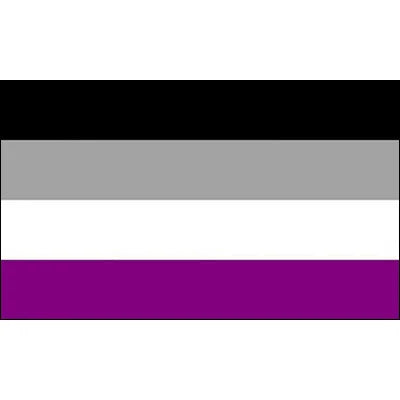 Pride Flagg 90x150cm & 60x90cm (Forskjellige LGBT+ Flagg)