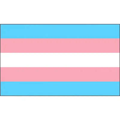 Pride Flagg 90x150cm & 60x90cm (Forskjellige LGBT+ Flagg)