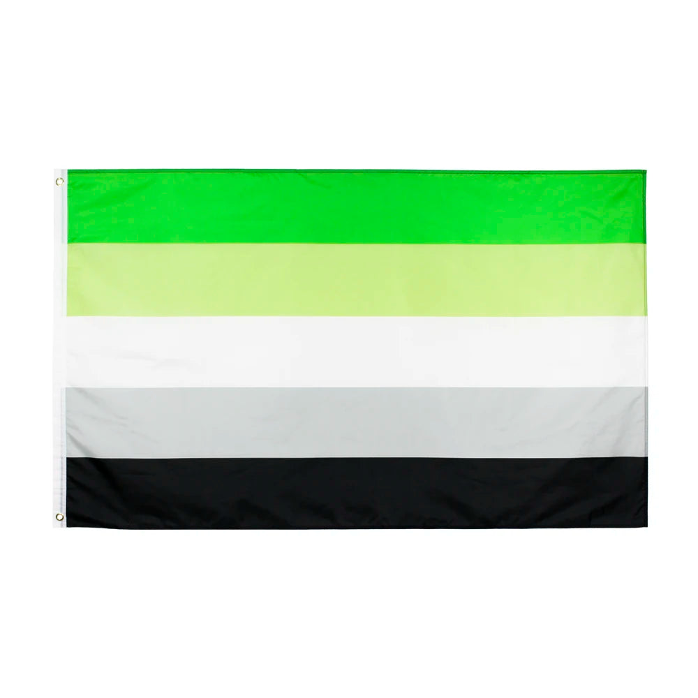 Pride Flagg 90x150cm (LGBTQIA+ Mangfold)