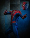 Spider-Man Cosplay Kostyme
