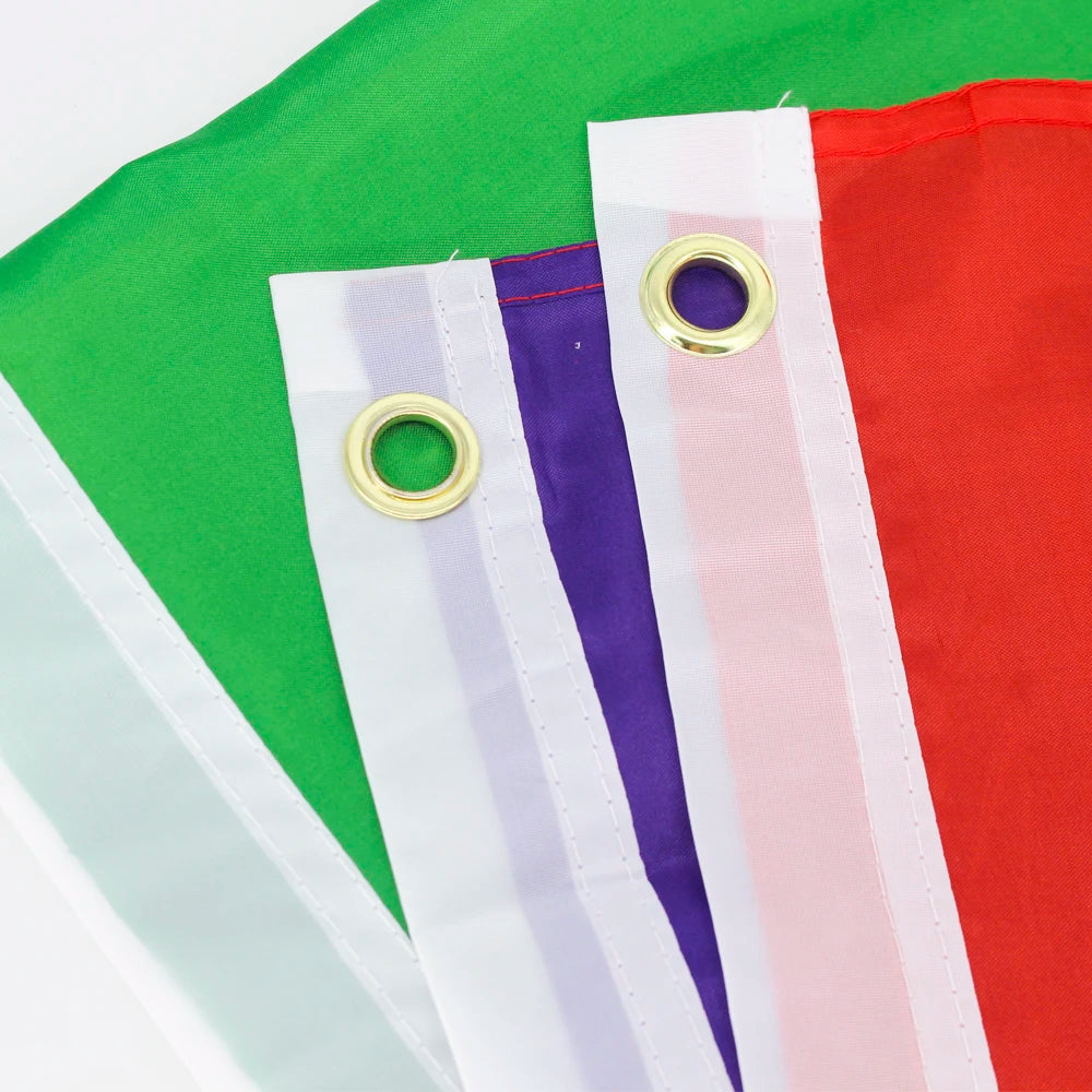 Pride Flagg 90x150cm (LGBTQIA+ Mangfold)
