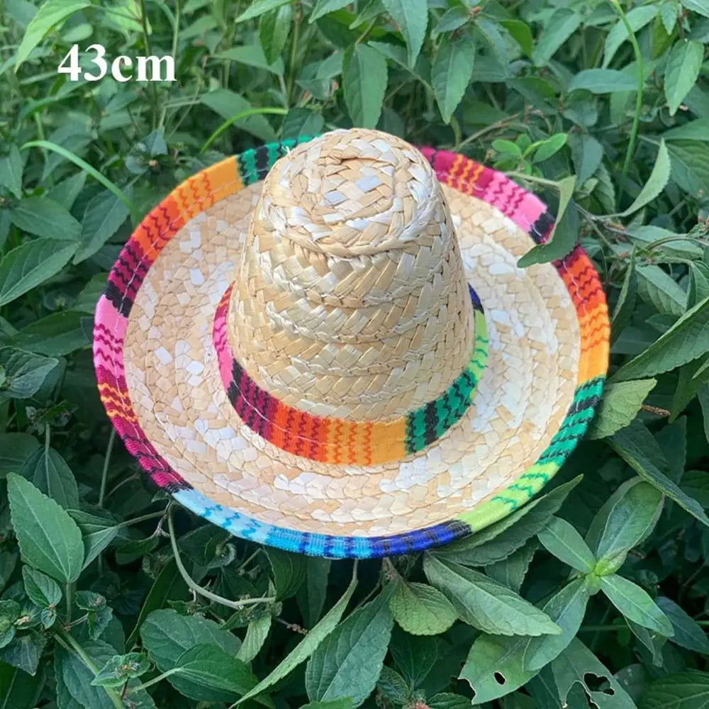 Fargerik Meksikansk Sombrero