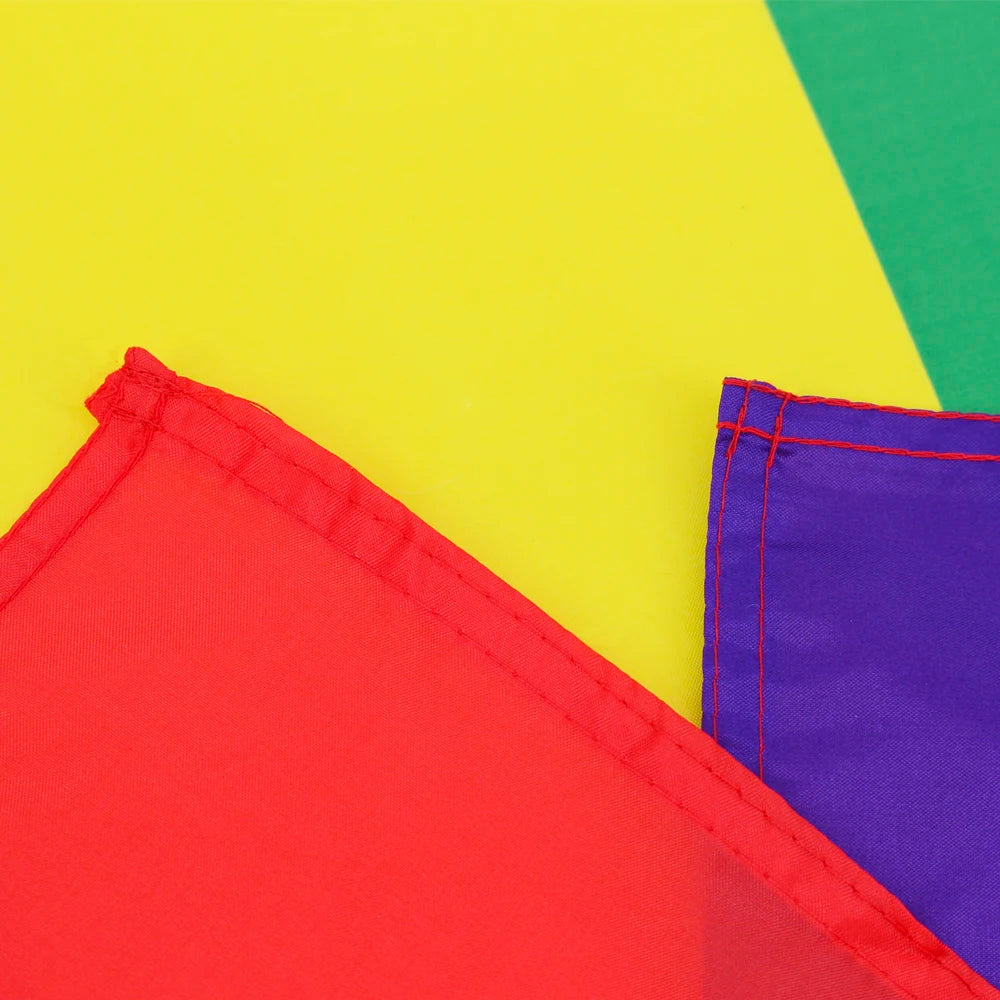 Pride Flagg 90x150cm (LGBTQIA+ Mangfold)