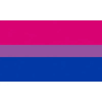 Pride Flagg 90x150cm & 60x90cm (Forskjellige LGBT+ Flagg)