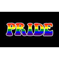 Pride Flagg 90x150cm & 60x90cm (Forskjellige LGBT+ Flagg)