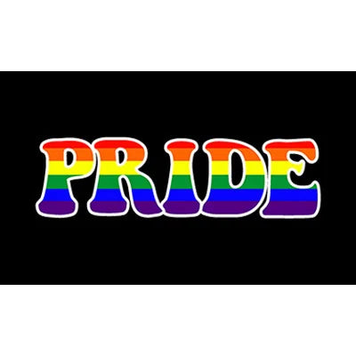 Pride Flagg 90x150cm & 60x90cm (Forskjellige LGBT+ Flagg)