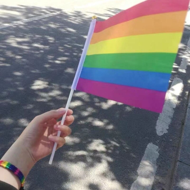 Pride flagg 14x21 cm