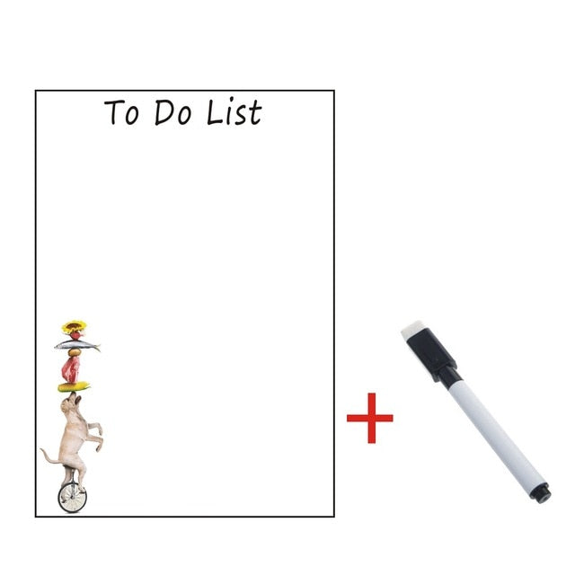 Whiteboard ark